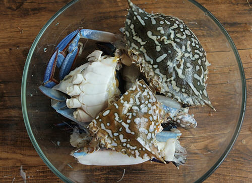 家常螃蟹粉丝煲(图3)