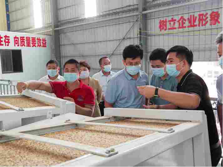 农业农村部农机化司：应对极端天气，加大水稻烘干环节扶持力度(图2)